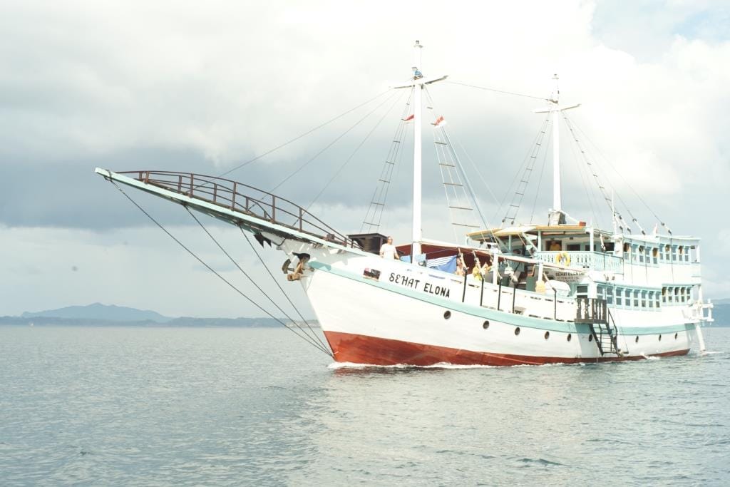 Liveabord Lombok to Komodo Tour